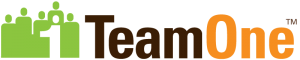 TeamOne Logo Horizontal